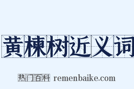黄楝树近义词是什么意思的图片
